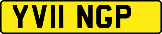 YV11NGP