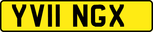 YV11NGX