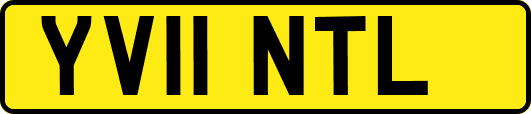 YV11NTL