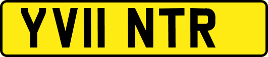 YV11NTR