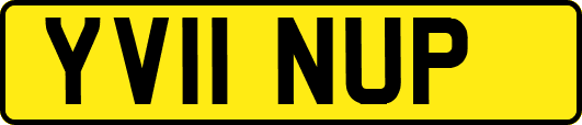 YV11NUP