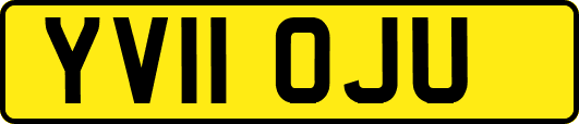 YV11OJU