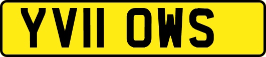 YV11OWS