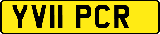 YV11PCR