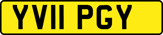 YV11PGY