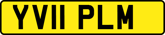 YV11PLM