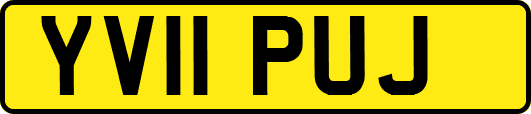 YV11PUJ