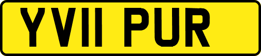 YV11PUR