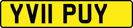 YV11PUY