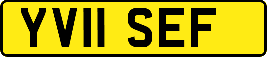 YV11SEF