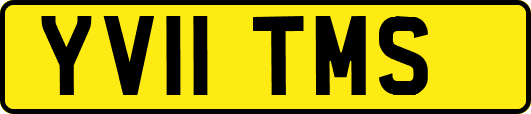YV11TMS