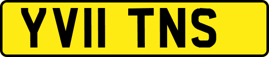 YV11TNS