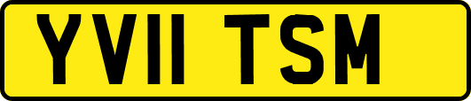 YV11TSM