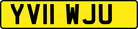 YV11WJU