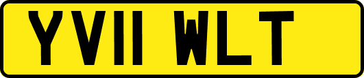 YV11WLT