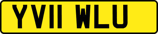 YV11WLU