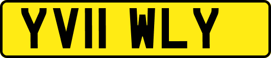 YV11WLY