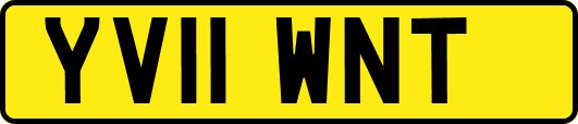 YV11WNT