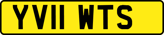 YV11WTS