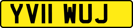 YV11WUJ