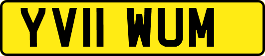 YV11WUM