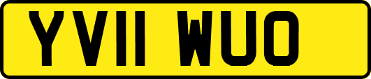 YV11WUO