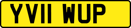 YV11WUP