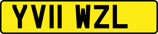 YV11WZL
