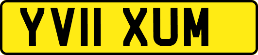 YV11XUM