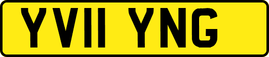 YV11YNG