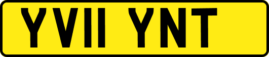 YV11YNT