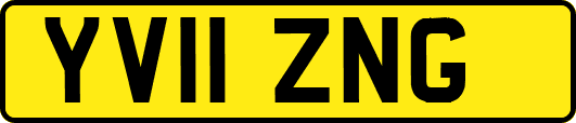 YV11ZNG