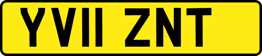 YV11ZNT