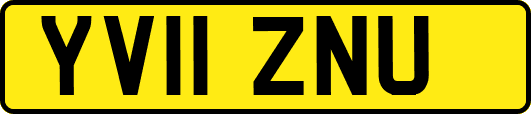 YV11ZNU