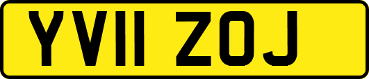 YV11ZOJ