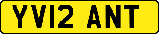 YV12ANT