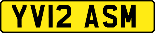 YV12ASM