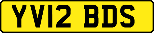 YV12BDS