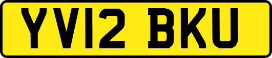 YV12BKU