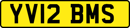 YV12BMS