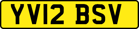 YV12BSV