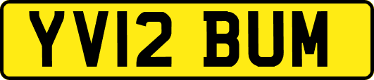 YV12BUM