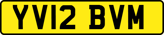 YV12BVM
