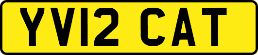 YV12CAT