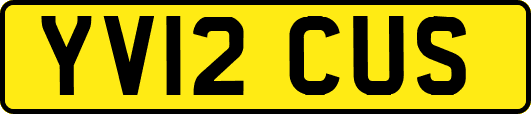 YV12CUS
