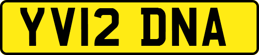 YV12DNA