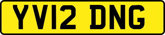YV12DNG
