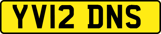 YV12DNS