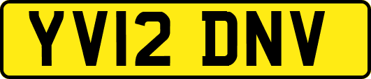 YV12DNV