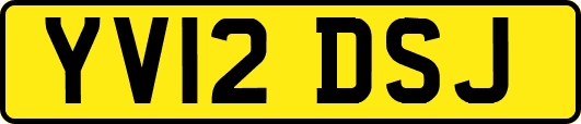 YV12DSJ